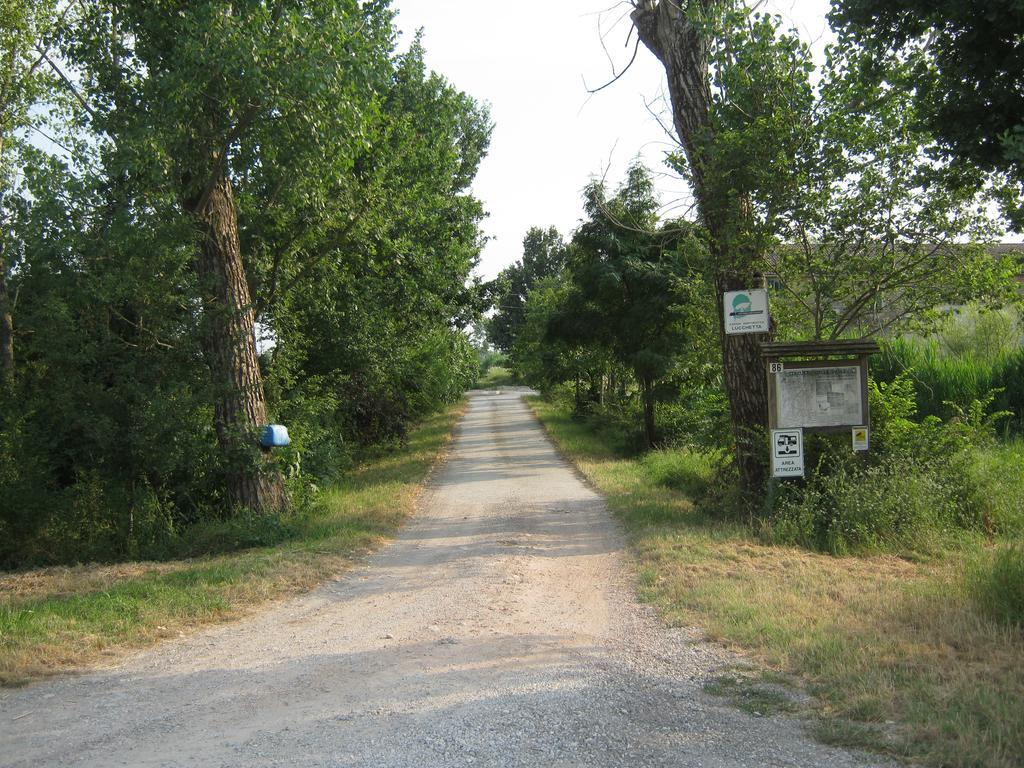 Agriturismo Lucchetta Reggiolo ภายนอก รูปภาพ